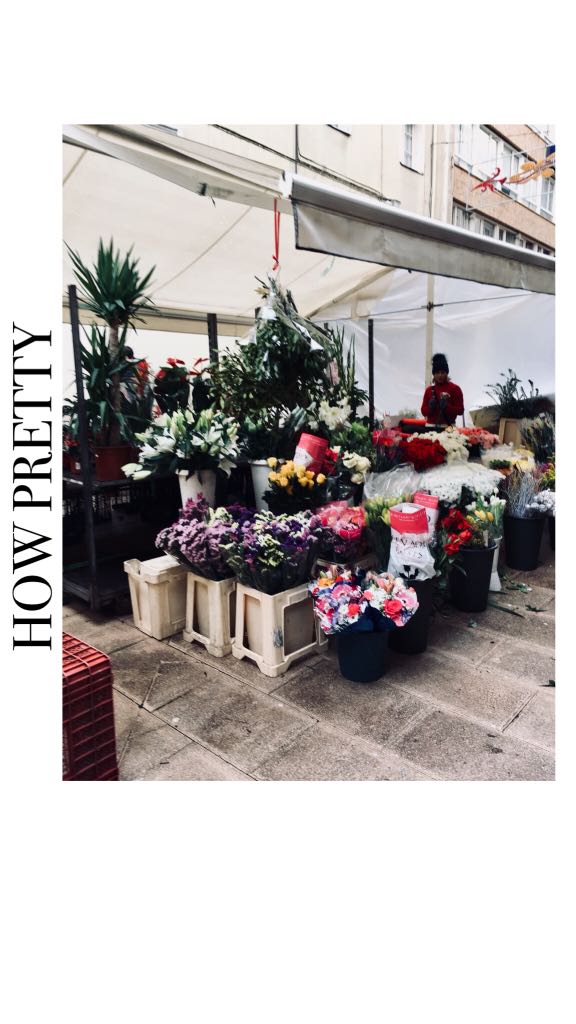 WhatsApp Image 2018-01-04 at 13.54.05 (3)