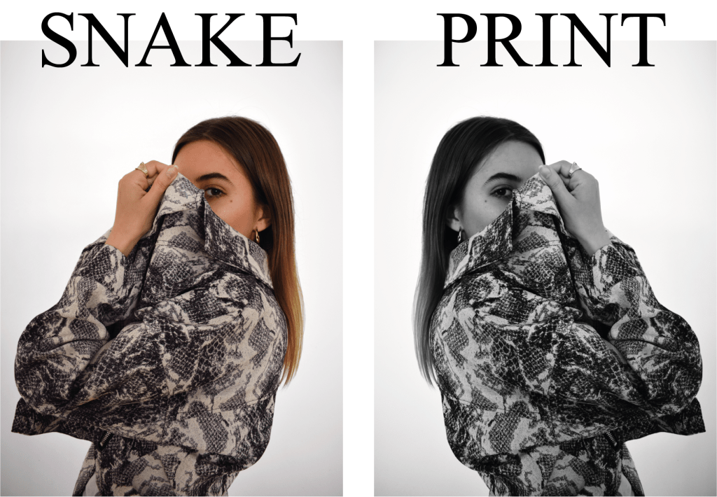 SNAKE PRINT OBSESSED